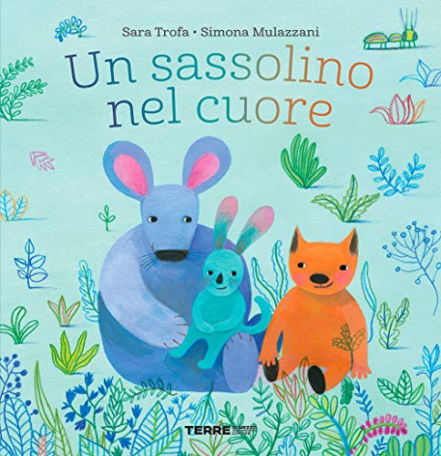 Un sassolino nel cuore. Ediz. a colori (Hardcover)