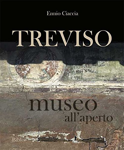 Treviso museo all'aperto. The open-air museum (Board Book)