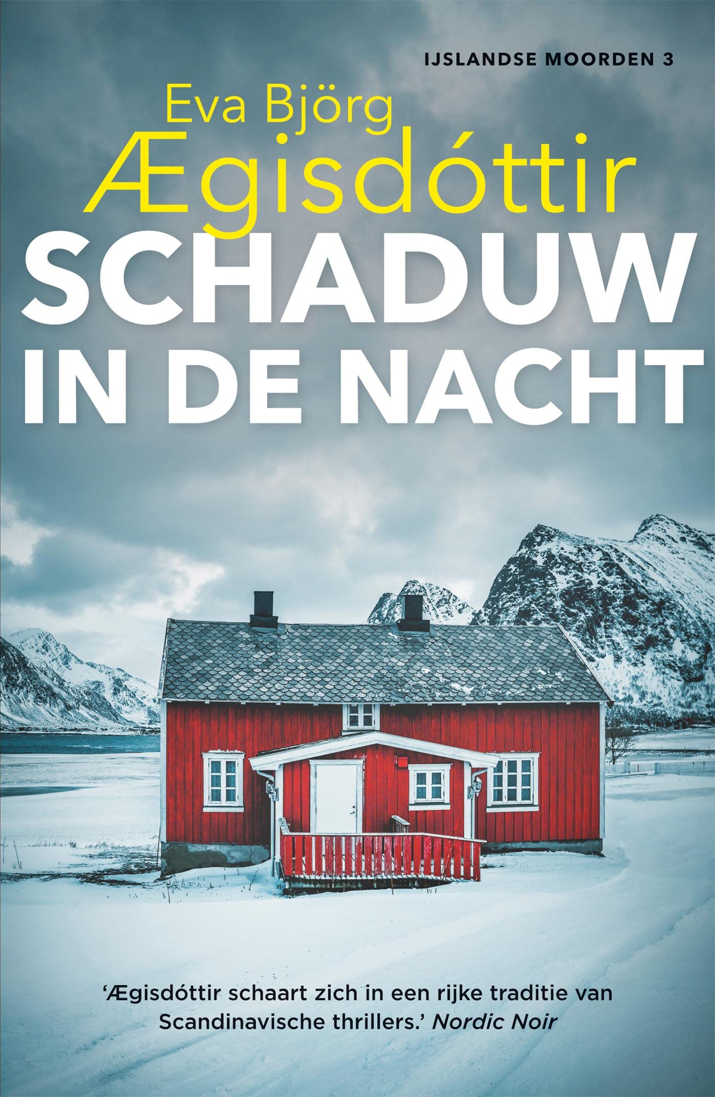 Schaduw in de nacht (IJslandse moorden, #3)