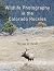 Wildlife Photography in the...