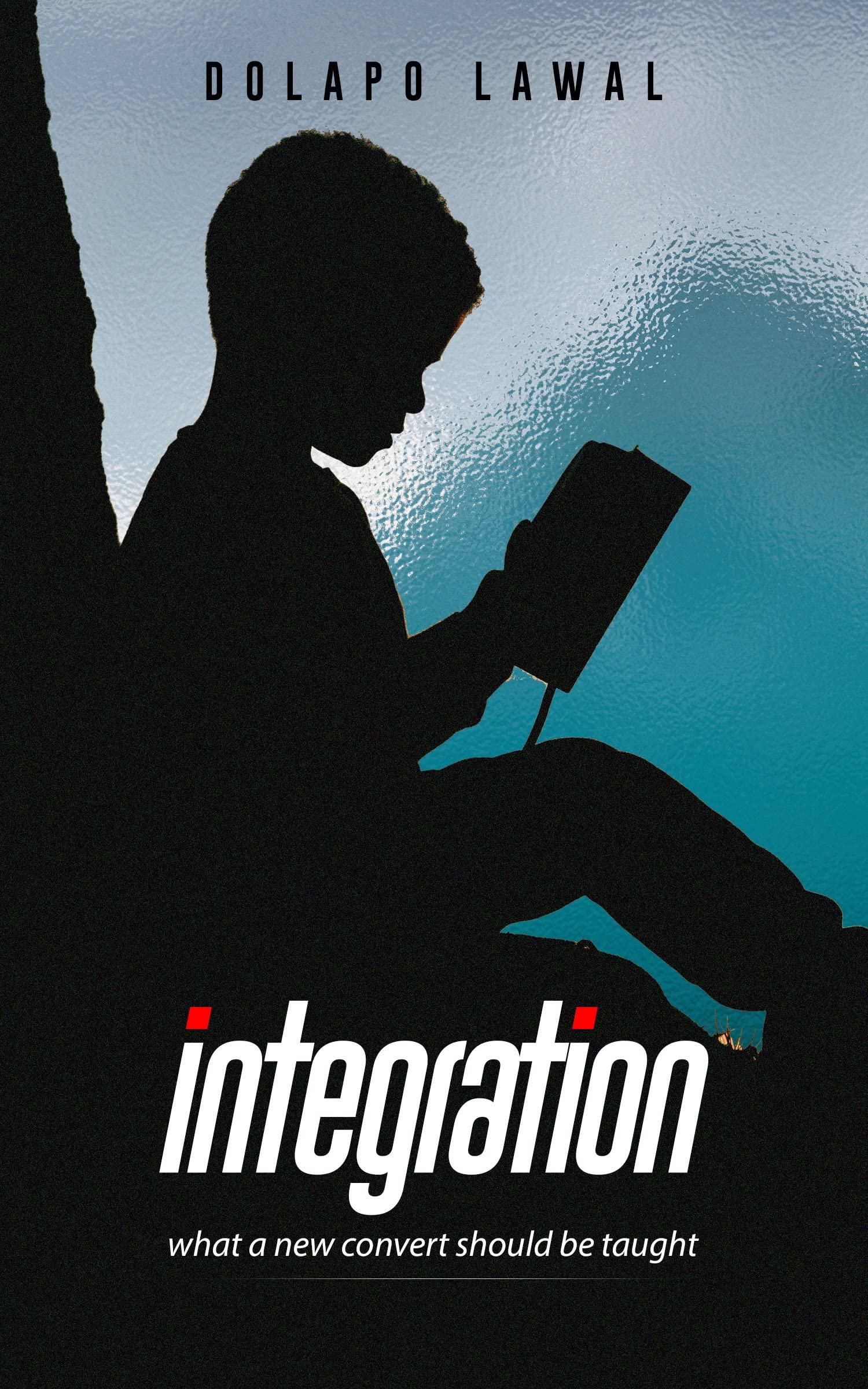 Integration: A New Believer's Guide (Kindle Edition)