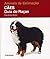 Animais De Estimação. Cães. Guia De Raças (Em Portuguese do Brasil)