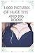 1,000 Pictures Of Huge Tits And Big Boobs: Funny Fake Book Cover Journal - Lined Notebook With No Pictures (Gag Gifts For Men)