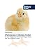 Aflatoxicosis in Broiler ch...