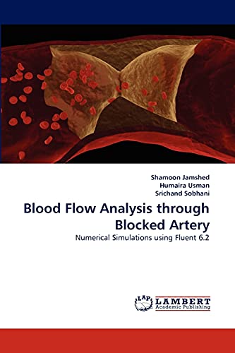 Blood Flow Analysis through Blocked Artery: Numerical Simulations using Fluent 6.2 (Paperback)