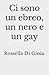 Ci sono un ebreo, un nero e un gay (Italian Edition)