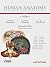 Human Anatomy: Multimedial ...
