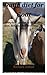 DAILY DIET FOR GOAT: A comp...