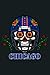 Chicago Football Helmet Sug...