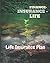 Finance- Insurance - Life by Jeffrey Spring