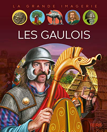 Les gaulois (Hardcover)