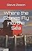 Where the Stones Fly into the Sea by Steve Zisson