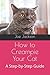 How to Creampie Your Cat: A...