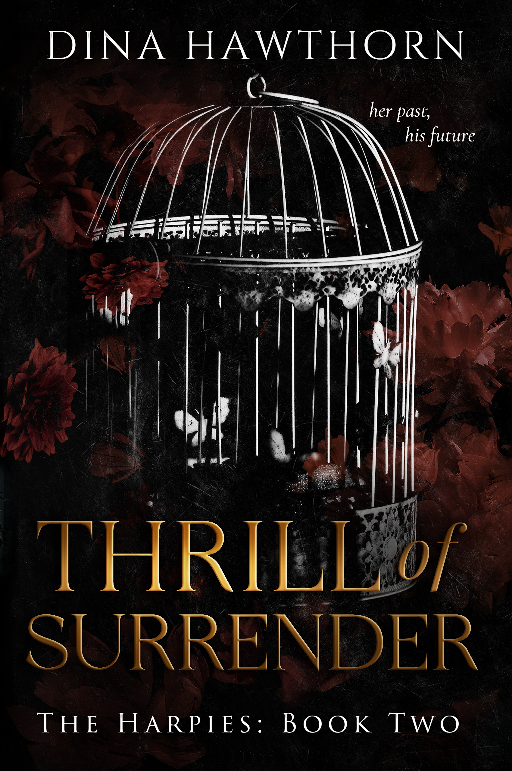 Thrill of Surrender (The Harpies, #2)