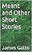 Meant and Other Short Stories by James Gatto