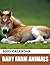 Baby Farm Animals Calendar 2022 by Victoria Halley