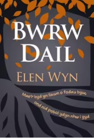 Bwrw Dail (Paperback)