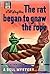 The rat began to gnaw the rope