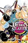 Demon Slayer 9