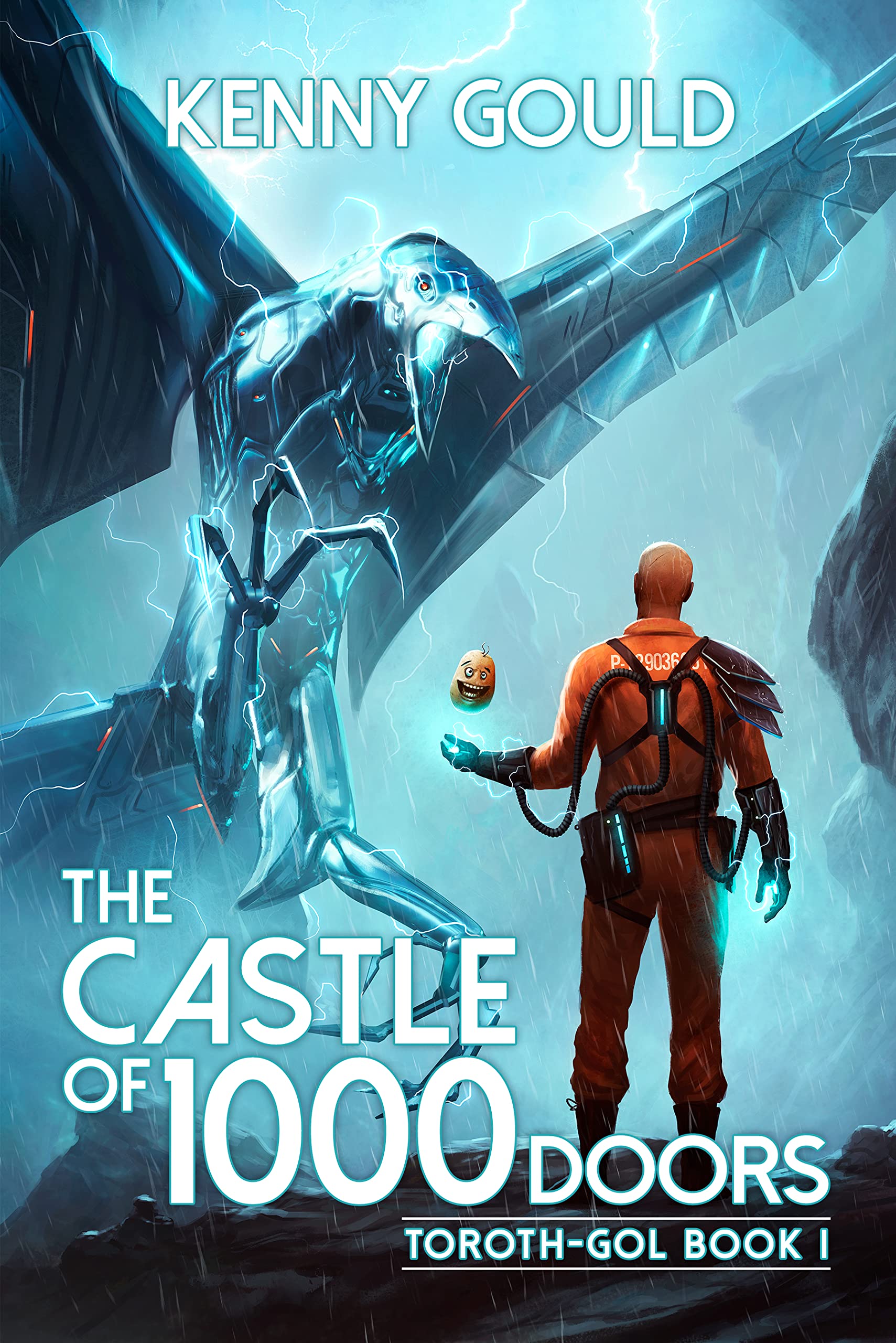 The Castle of 1,000 Doors (Toroth-Gol, #1)