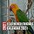 Feathered Friends Calendar ...