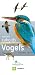 Hayman's zakgids vogels