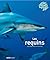 Les requins
