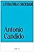 Literatura e sociedade