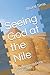 Seeing God at the Nile by Bruce Sims