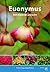 Euonymus: Een Kleurrijk Ges...