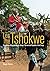 The Tshokwe: Democratic Rep...