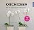 Orchideen: Die 99 schnellst...