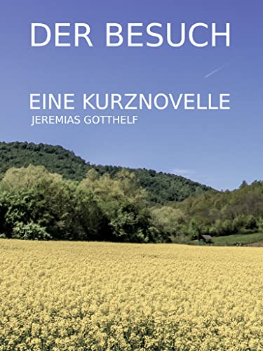 Der Besuch: Eine Kurznovelle (German Edition)