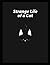 Johnny Strange Life of a Cat