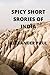 SPICY SHORT STORIES OF INDIA