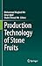 Production Technology of St...