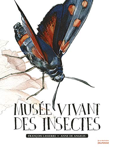Musée vivant des insectes (Hardcover)