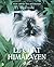 LE CHAT HIMALAYEN