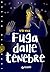 Fuga dalle tenebre (Italian Edition) by Ugo Vicic