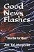 Good News Flashes: Blurbs f...