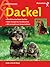 Dackel.