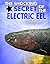 The Shocking Secret of the ...