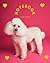 Poodle Dog Journal Notebook Fine lined Pages: Poodle Diary 120 Pages (60 sheets) 8*10 inches