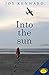 Into the Sun
