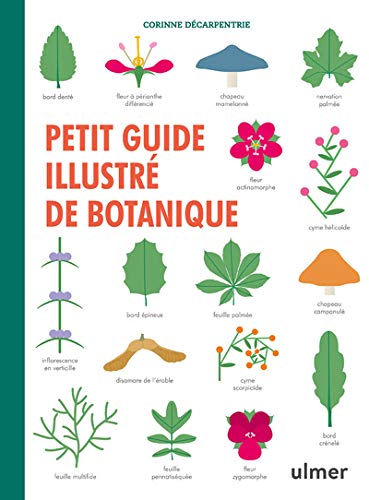 Petit guide illustré de botanique (Hardcover)