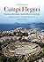 Campi Flegrei. Storia, archeologia e miti della terra ardente