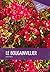 LE BOUGAINVILLIER
