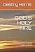 GOD'S HOLY FIRE: The Truth ...