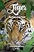 TIGER: The Soul Of The Wild