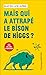 Mais qui a attrapé le bison de Higgs ? by David Louapre